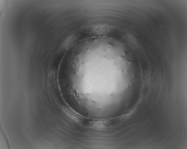 X0000081270182200701111316