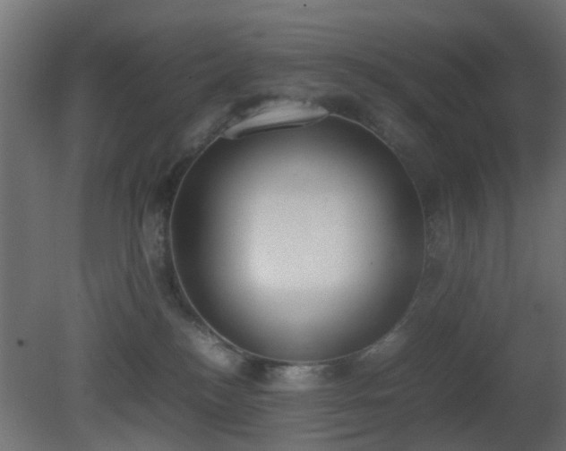 X0000081270184200701111316