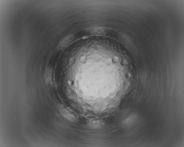 X0000081270185200701111316