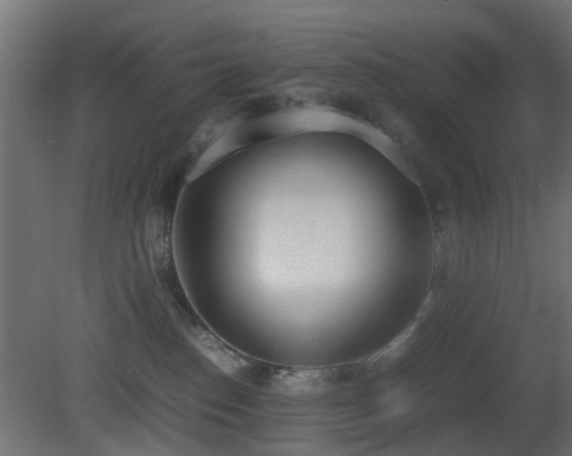 X0000081270186200701111316