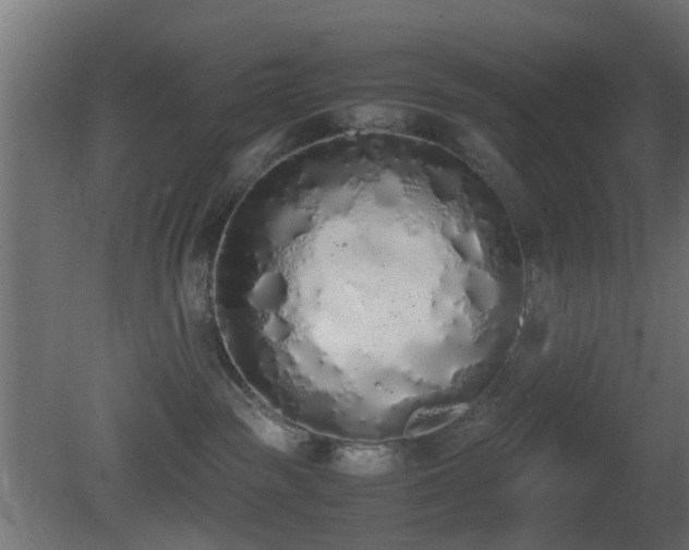 X0000081270189200701111316