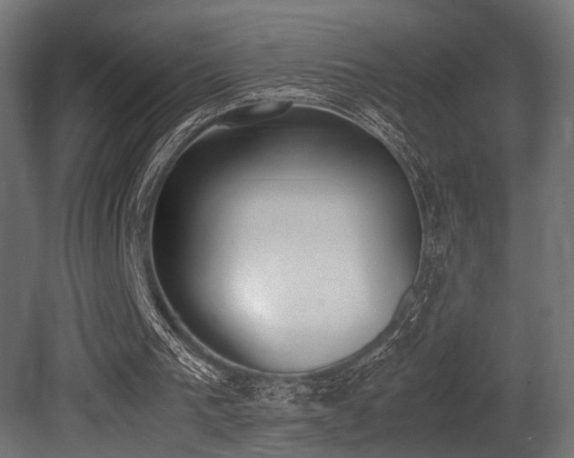 X0000081270193200701111315