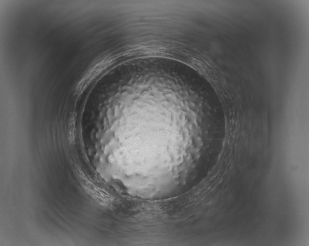 X0000081270194200701111315