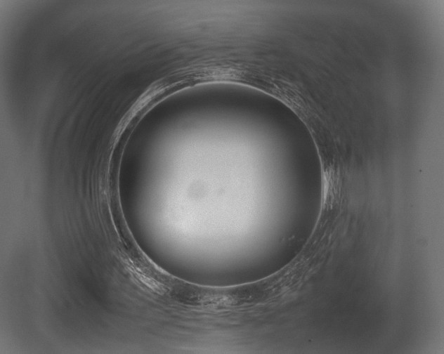 X0000081270195200701111315