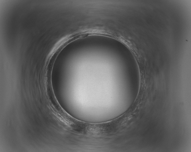 X0000081270199200701111315