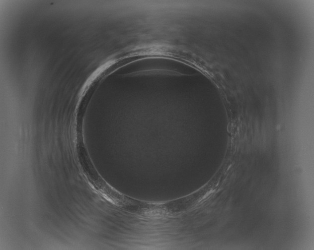 X0000081270200200701111315