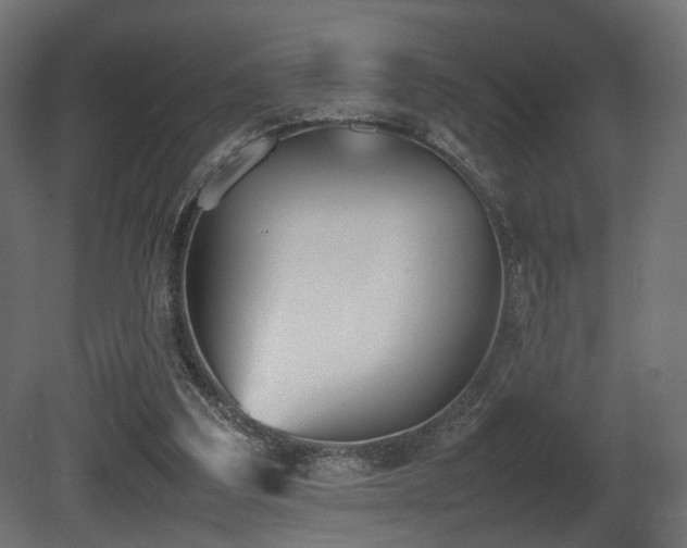 X0000081270203200701111315