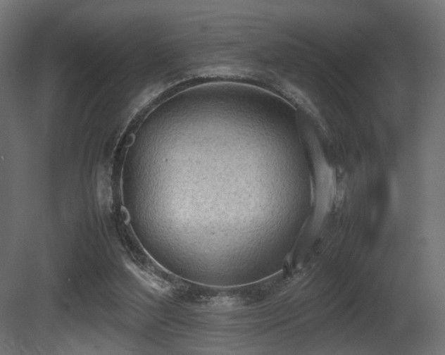 X0000081270204200701111315