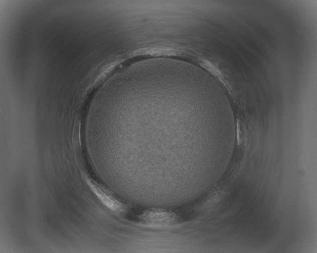 X0000081270205200701111315