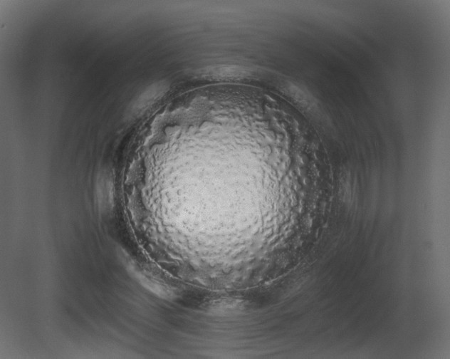 X0000081270206200701111315