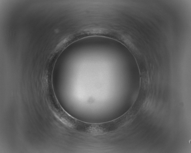 X0000081270207200701111315