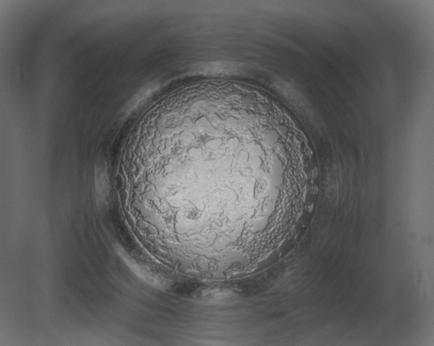 X0000081270208200701111315