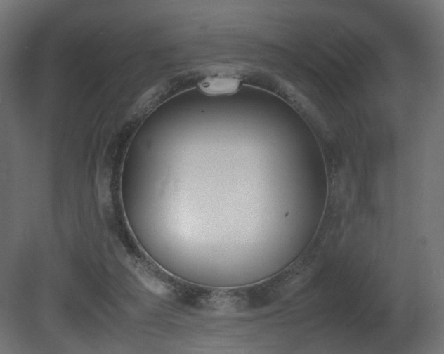 X0000081270209200701111315