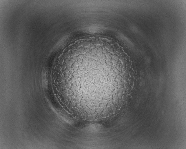 X0000081270210200701111315