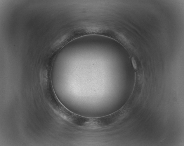 X0000081270211200701111315