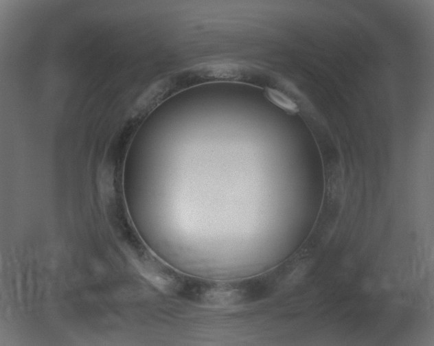 X0000081270213200701111315