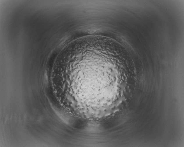 X0000081270214200701111315