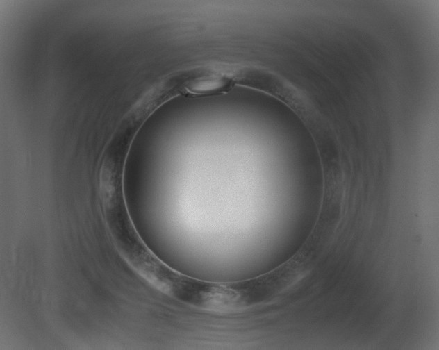 X0000081270215200701111315