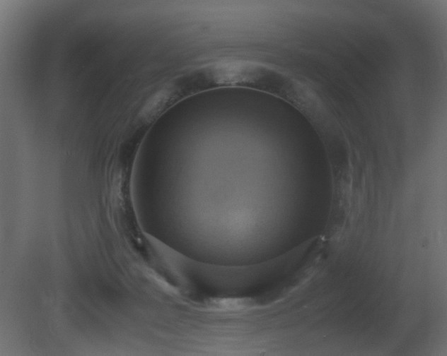 X0000081270219200701111314