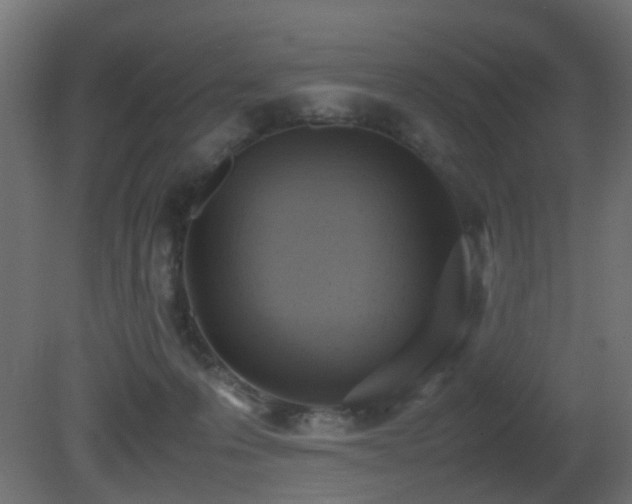 X0000081270223200701111314