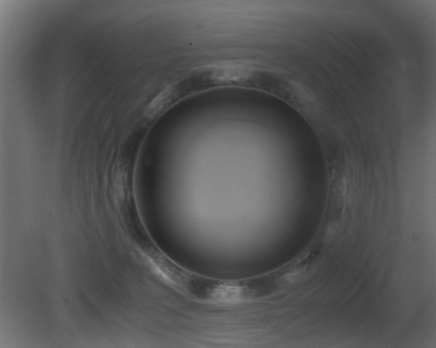 X0000081270227200701111314