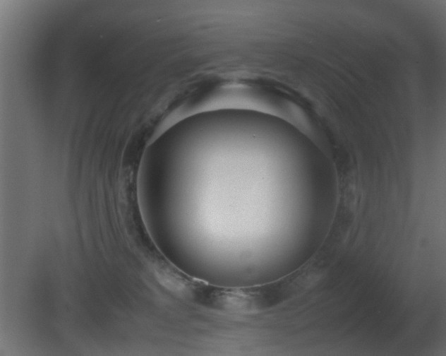 X0000081270229200701111314