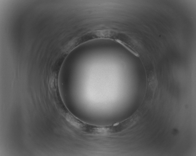 X0000081270233200701111314