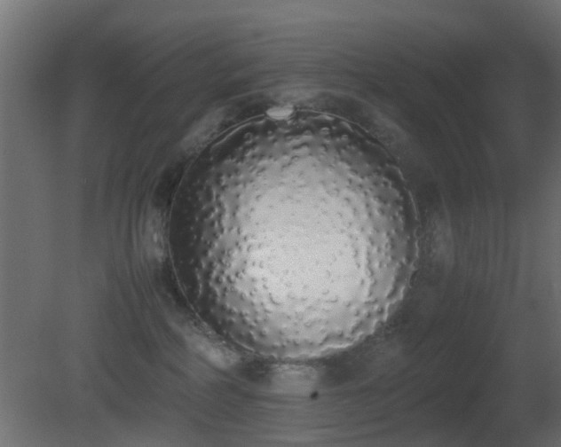 X0000081270234200701111314