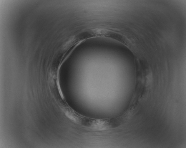X0000081270235200701111314
