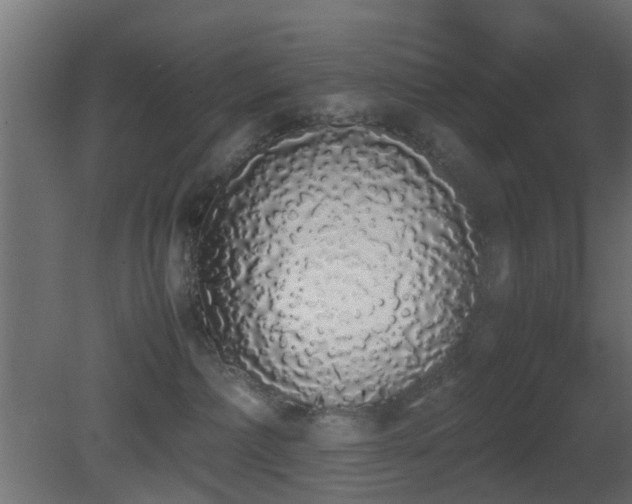 X0000081270236200701111314