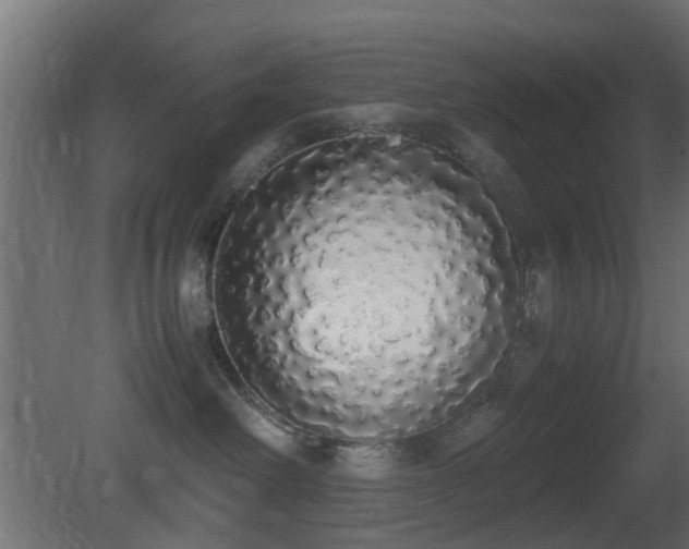 X0000081270238200701111314