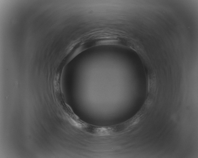 X0000081270239200701111314