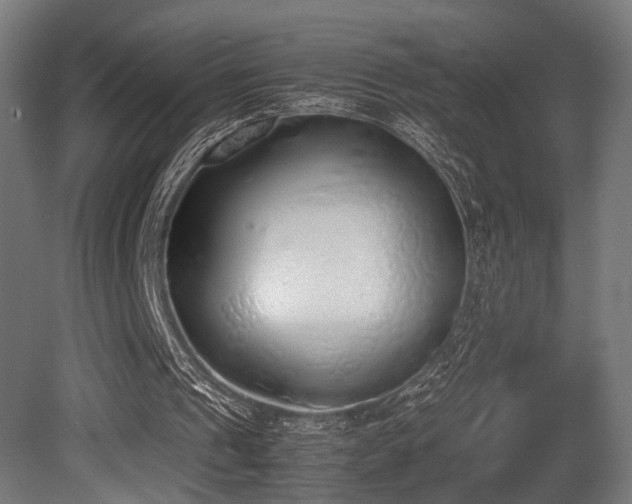 X0000081270241200701111313
