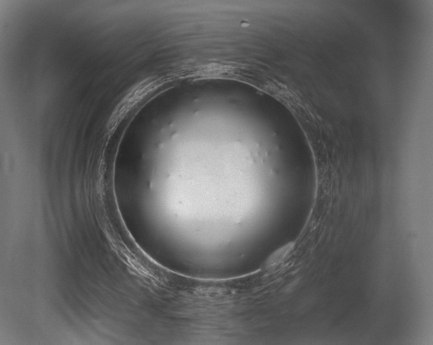 X0000081270242200701111313