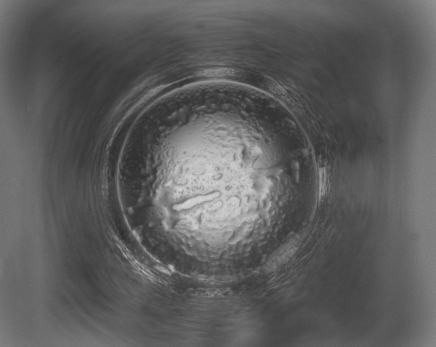 X0000081270243200701111313