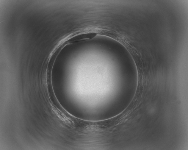 X0000081270244200701111313