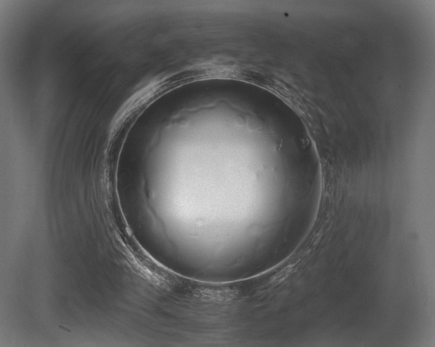 X0000081270245200701111313