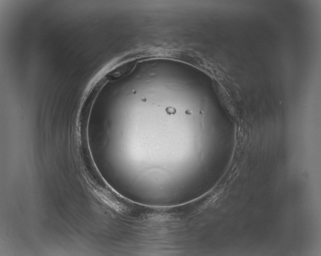 X0000081270246200701111313