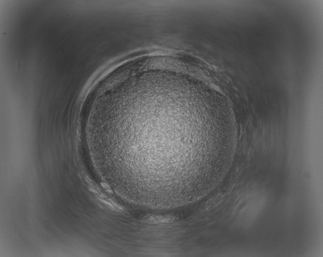 X0000081270247200701111313