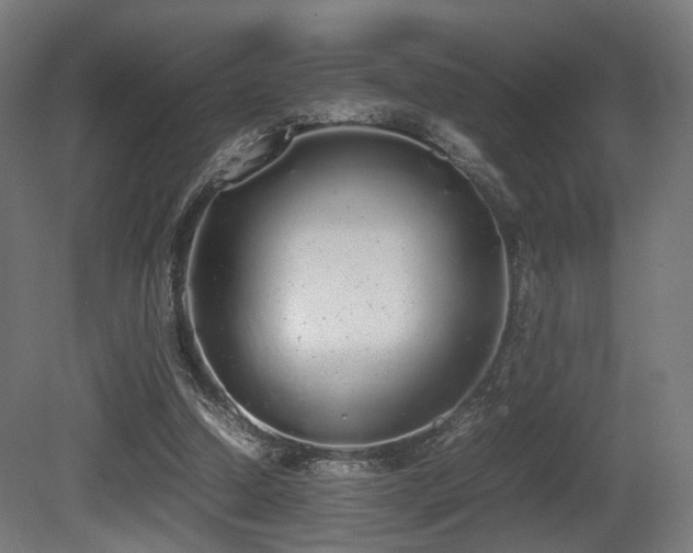 X0000081270250200701111313
