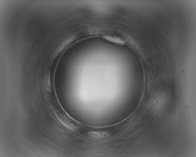 X0000081270251200701111313