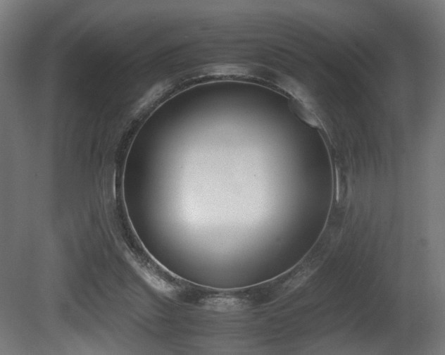 X0000081270253200701111313