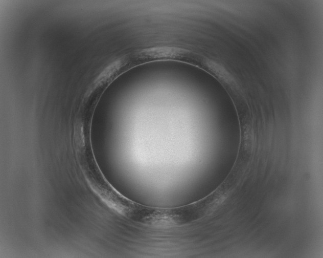X0000081270254200701111313