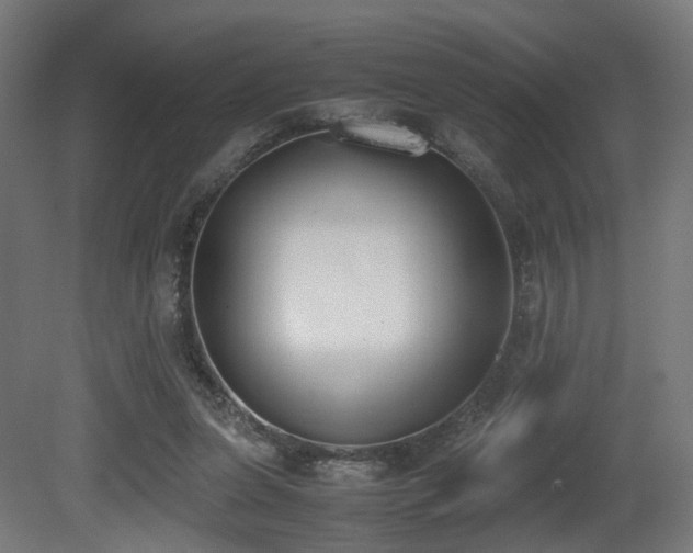 X0000081270255200701111314