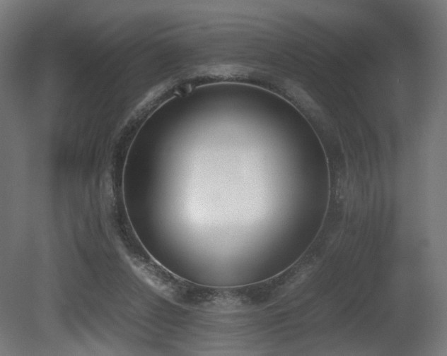 X0000081270256200701111314