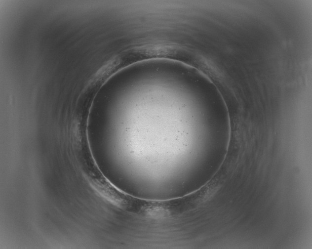 X0000081270258200701111314