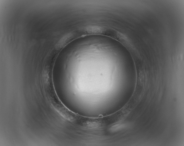 X0000081270259200701111314