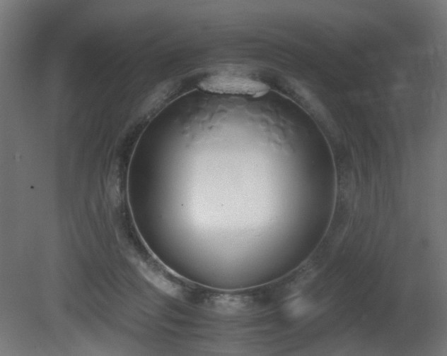X0000081270261200701111314