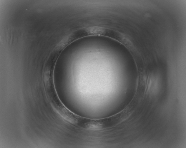 X0000081270263200701111314
