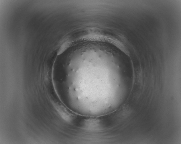 X0000081270266200701111314